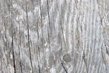 Obraz premium The concept of a gray wooden background. Blurred wood surface. Abstract background. Interior and exterior decoration.