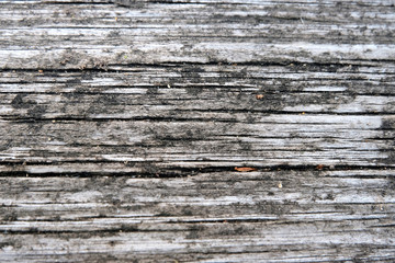 The concept of a gray wooden background. Blurred wood surface. Abstract background. Interior and exterior decoration.