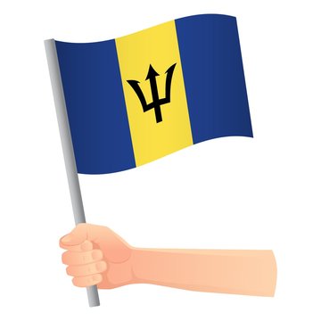 Barbados flag in hand