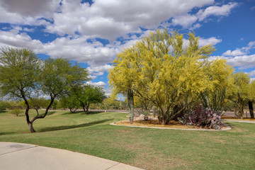 Sonoran Hills Park