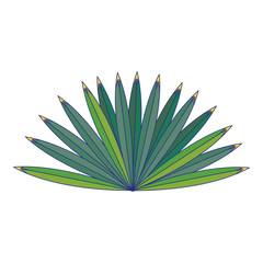 Tropical leaves nature cartoon isolated