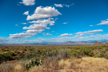 Desert landscape in the Sonoran Desert