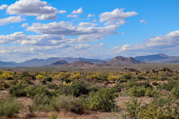 Fototapeta na wymiar Sonoran Desert landscape outside Scottsdale Arizona