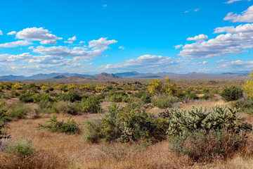 Crisp spring day in Scottsdale Arizona