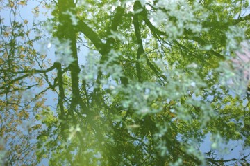 Reflections in the waves