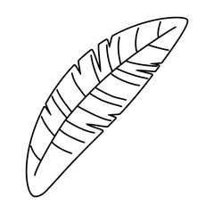 Isolated leaf design vector illustration