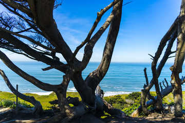 overlooking the Pacific Ocean at Thornton State Beach, Daley City - San Francisco Bay Area, California