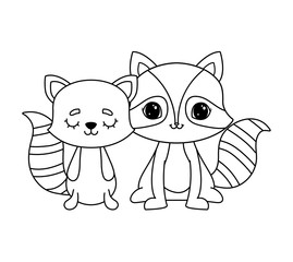 cute raccoon with cat animals