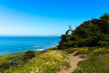 Fototapeta na wymiar low angle shot grass forest at Thornton State Beach, Daley City - San Francisco Bay Area, California