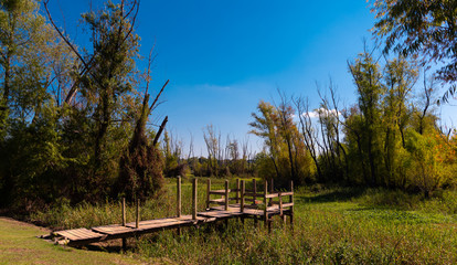 MUELLE DE MADERA