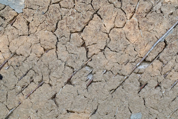 Old wall