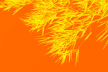 abstract floral background