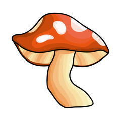 Isolated pointed fungi mushroom design vector illustration
