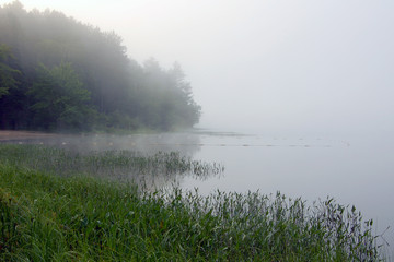 Obraz na płótnie Canvas Strobg fog