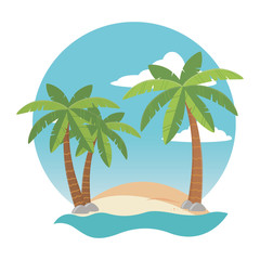 vector illustration Palm tree design, Summer vacation vector illustration