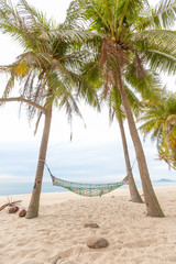 hammock on a palm tree sunset glare of the sun sea ocean sky shore sand,summer concept.