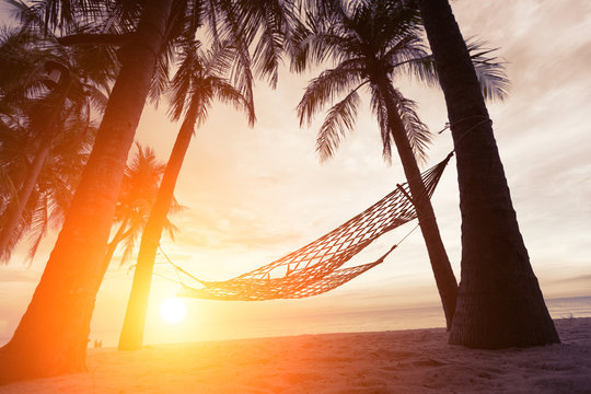 Silhouette Of Hammock At Sunset On The Beach