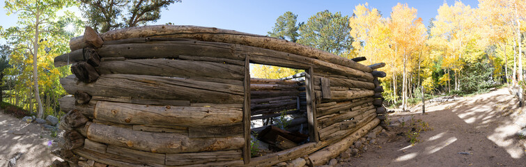 Old Cabin in the Woods