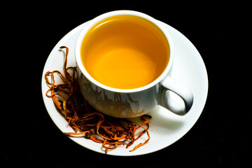 Cordyceps militaris mushroom