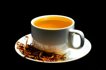 Cordyceps militaris mushroom