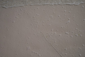 A graphic of the seashore
