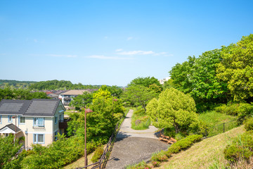 自然が豊かな住宅地　Japan's residential area, suburbs of Tokyo