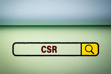 CSR Concept For Business