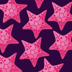 pattern of starfishes tropical background