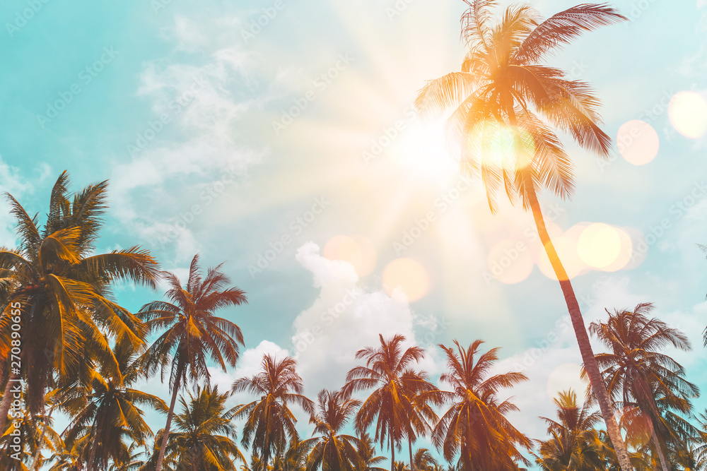 Wall mural tropical palm tree with colorful bokeh sun light on sunset sky cloud abstract background.