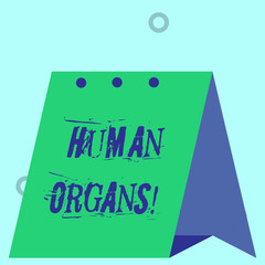 Word writing text Huanalysis Organs. Business photo showcasing The internal genital structures of the huanalysis body Modern fresh and simple design of calendar using hard folded paper material