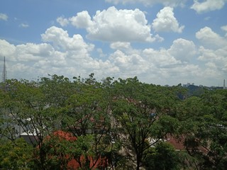 Obraz premium cloud in the sky and the tree 