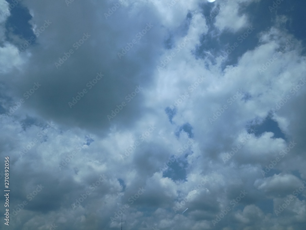 Canvas Prints cloud in the sky and the tree