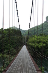 Fototapeta na wymiar bridge in forest