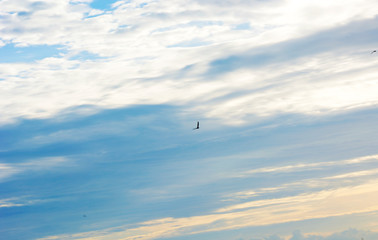 The sky is bright and the layout is perfect.