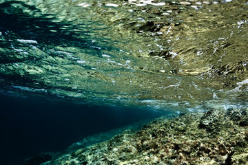 Underwater view of Mediterranean reef