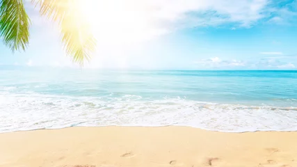 Schilderijen op glas Zonnig tropisch Caribisch strand met palmbomen en turquoise water, Caribische eilandvakantie, warme zomerdag © Mariusz Blach