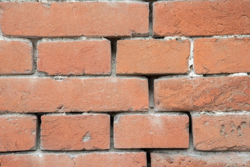 Obraz premium Beautiful wall of bricks as a background