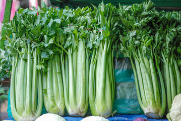 Racimos de apio en mercado de la Ciudad de México. © Marotoson