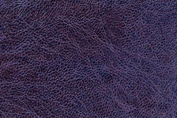 lacquered dark violet leather texture background, closeup. navy blue backdrop
