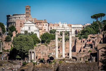 Fototapeta na wymiar The Roman Forum, Rome, Italy