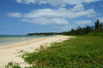 植物が生える砂浜とエメラルドグリーンの海と青空