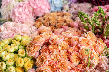 Floral carpet or Wallpaper. Background of mix of flowers. Beautiful flower for catalog or online store. Floral shop and delivery concept. Top view. Copy space