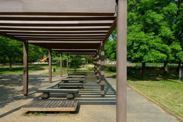 新緑美しい初夏の公園とベンチがある風景