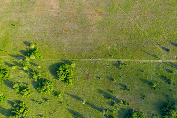 wild field, view from above