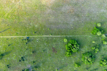 wild field, view from above