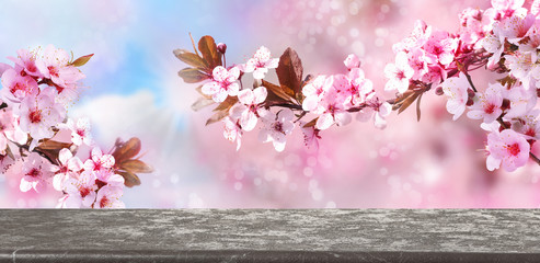 Empty table and tree branches with tiny flowers against blurred background. Amazing spring blossom