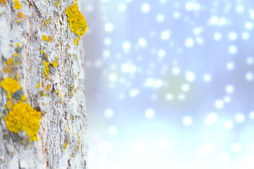 abstract background with yellow leaves