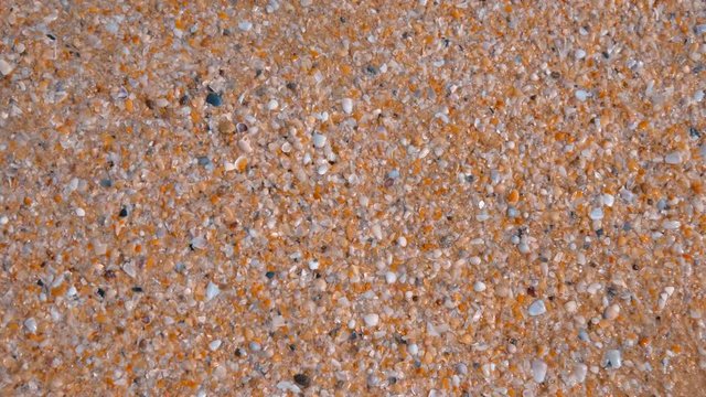 The beach consists of many small seashells and sand, Goa, India. Shot in motion