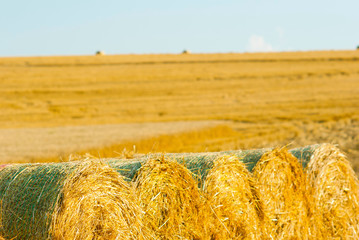 Hay bale
