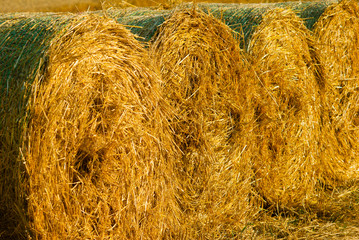 Hay bale